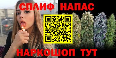 мдпв Новокубанск