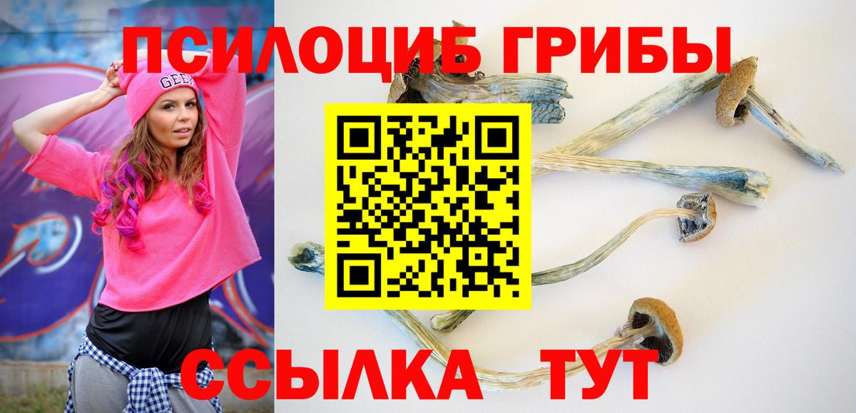 купить  цена  Галлюциногенные грибы прущие грибы  Псилоцибиновые грибы прущие грибы  Вход с VPN  Чайковский 